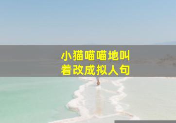 小猫喵喵地叫着改成拟人句