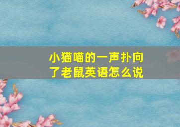 小猫喵的一声扑向了老鼠英语怎么说