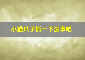 小猫爪子抓一下没事吧