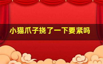 小猫爪子挠了一下要紧吗