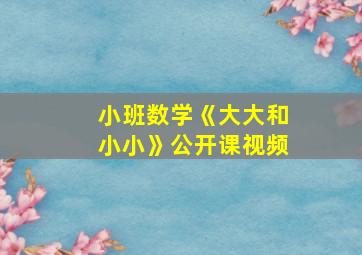 小班数学《大大和小小》公开课视频