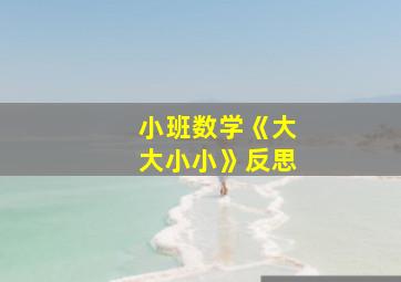 小班数学《大大小小》反思