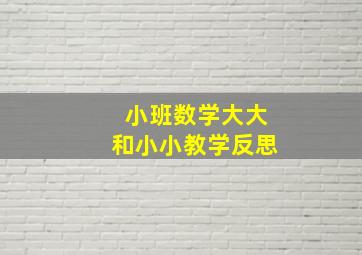 小班数学大大和小小教学反思