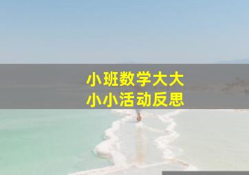 小班数学大大小小活动反思