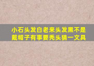 小石头发白老来头发黑不是戴帽子有事要秃头猜一文具