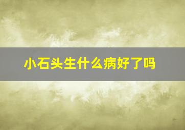 小石头生什么病好了吗