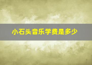 小石头音乐学费是多少