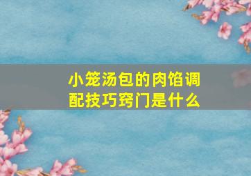 小笼汤包的肉馅调配技巧窍门是什么