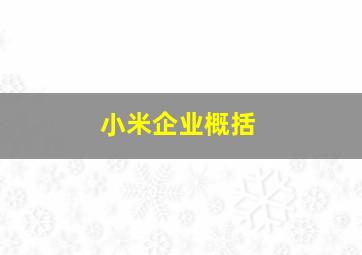 小米企业概括