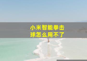 小米智能拳击球怎么用不了