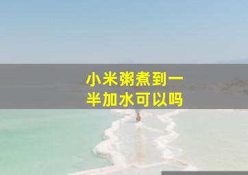 小米粥煮到一半加水可以吗