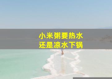 小米粥要热水还是凉水下锅