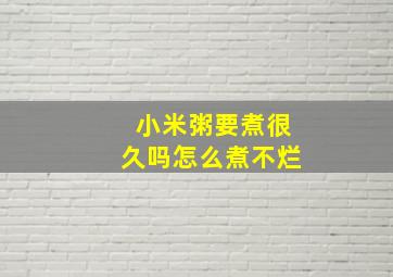 小米粥要煮很久吗怎么煮不烂