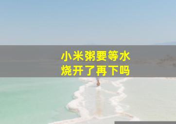 小米粥要等水烧开了再下吗