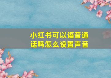 小红书可以语音通话吗怎么设置声音