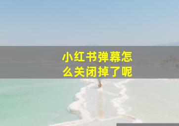 小红书弹幕怎么关闭掉了呢