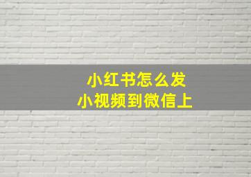 小红书怎么发小视频到微信上