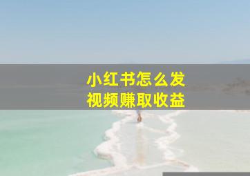 小红书怎么发视频赚取收益