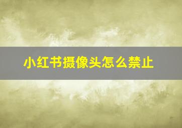 小红书摄像头怎么禁止