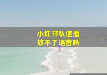 小红书私信播放不了语音吗