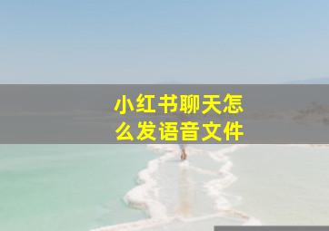 小红书聊天怎么发语音文件