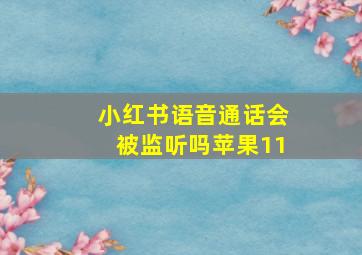 小红书语音通话会被监听吗苹果11