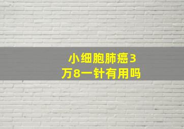 小细胞肺癌3万8一针有用吗