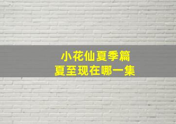 小花仙夏季篇夏至现在哪一集