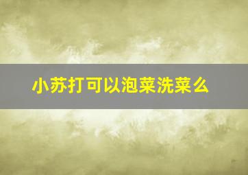 小苏打可以泡菜洗菜么