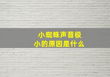 小蜘蛛声音极小的原因是什么