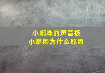 小蜘蛛的声音极小是因为什么原因