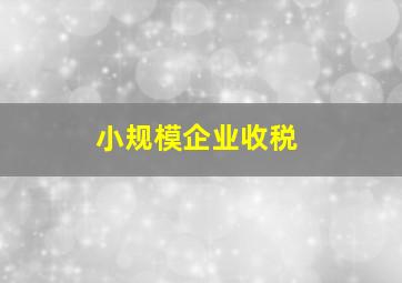 小规模企业收税