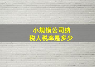 小规模公司纳税人税率是多少