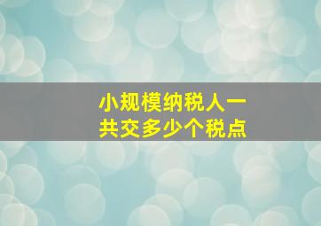 小规模纳税人一共交多少个税点