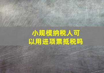 小规模纳税人可以用进项票抵税吗