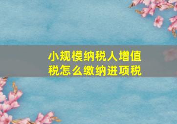 小规模纳税人增值税怎么缴纳进项税