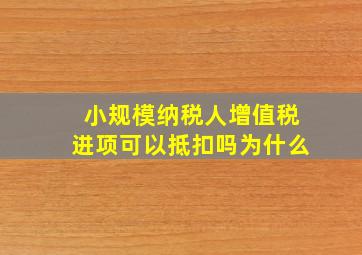 小规模纳税人增值税进项可以抵扣吗为什么