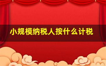 小规模纳税人按什么计税