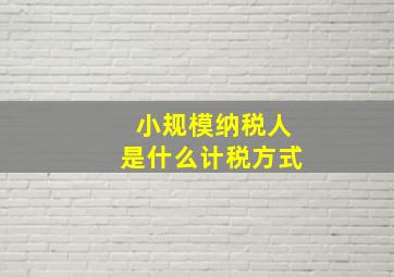 小规模纳税人是什么计税方式