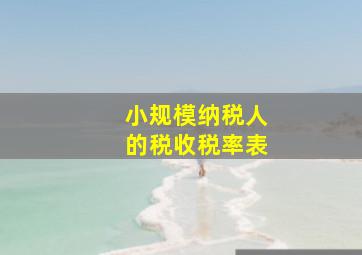 小规模纳税人的税收税率表