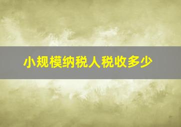 小规模纳税人税收多少