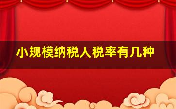 小规模纳税人税率有几种