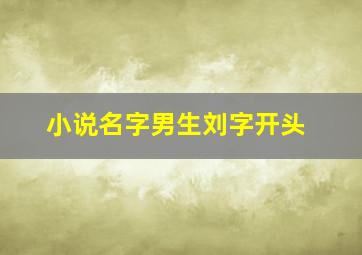 小说名字男生刘字开头