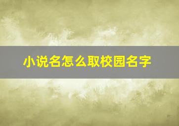 小说名怎么取校园名字