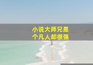 小说大师兄是个凡人却很强