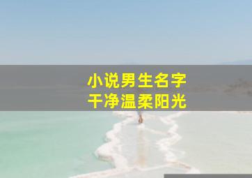 小说男生名字干净温柔阳光