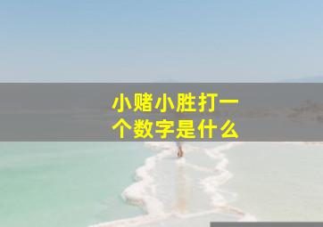 小赌小胜打一个数字是什么