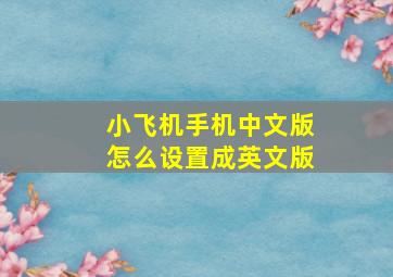 小飞机手机中文版怎么设置成英文版