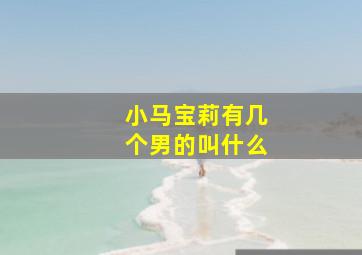 小马宝莉有几个男的叫什么