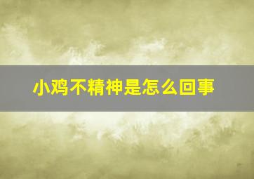 小鸡不精神是怎么回事